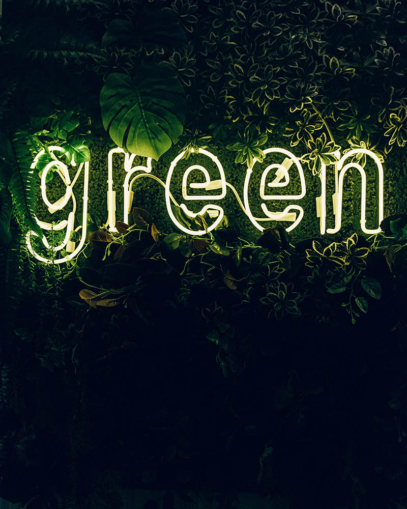 1611491080677205.jpg pexels-daria-shevtsova-3626733 led grow.jpg